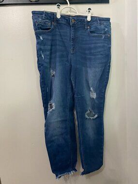 Edgely High Rise Super Skinny Medium Wash Distressed Jeans 16 Short